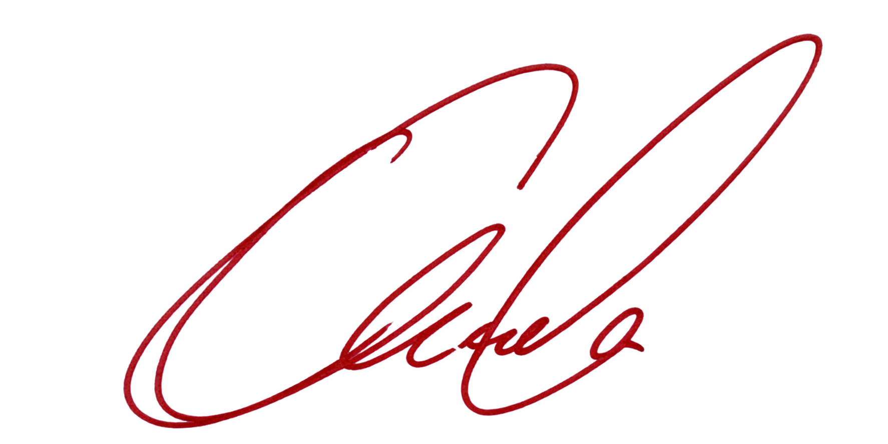 Talha Korkmaz imzası