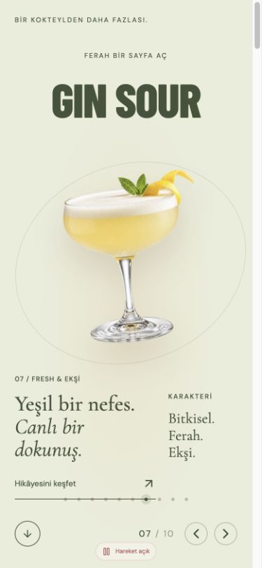 Cocktail — Talha Korkmaz web sitesi — Mobil görünüm